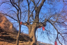 2399代驾；西安长途代驾电话