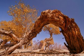西安长途代驾，新疆行程