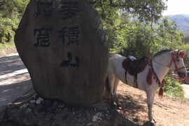 2399代驾汽车服务中心，2399代驾竭诚为你服务