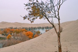 2399代驾；   长途代驾，专业护航，千里行程一路安心