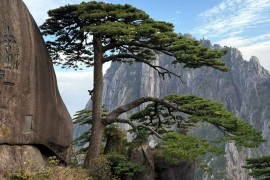 # 邂逅大理，一场风花雪月的梦———西安长途代驾