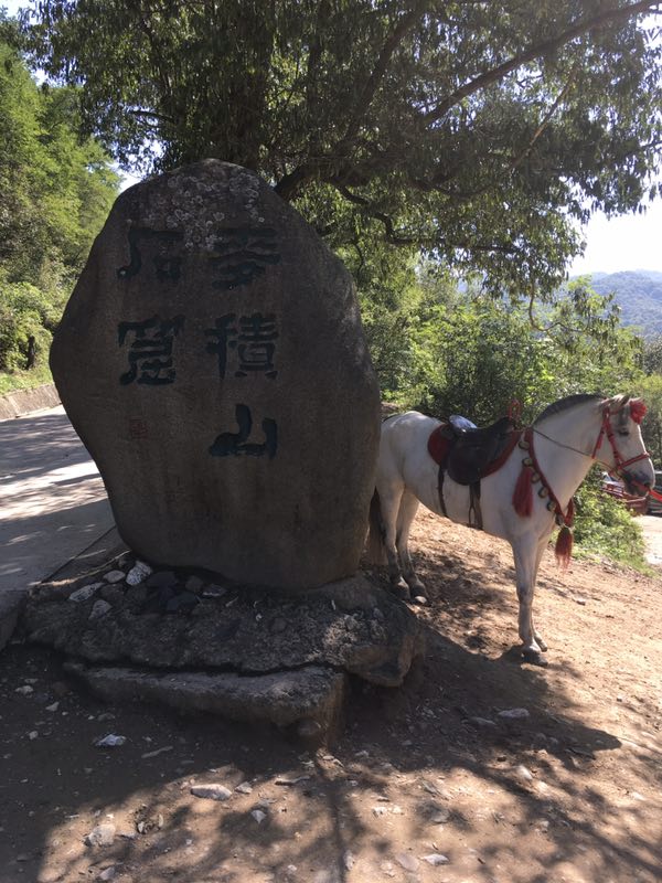 2399代驾汽车服务中心，2399代驾竭诚为你服务第1张-2399代驾