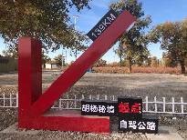 2399代驾，长途代驾，旅游代驾，新疆代驾已完成第19张-2399代驾
