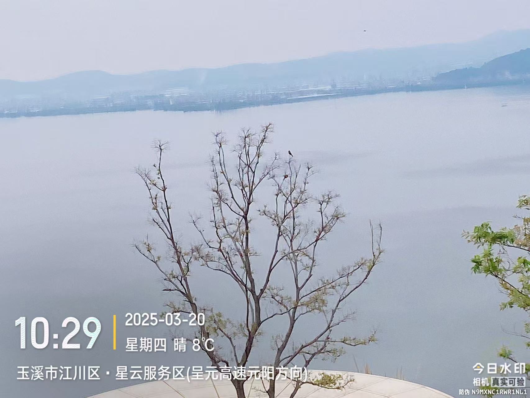 2399代驾，西安长途代驾；那么大的世界能认识你，我觉得好幸运第2张-2399代驾