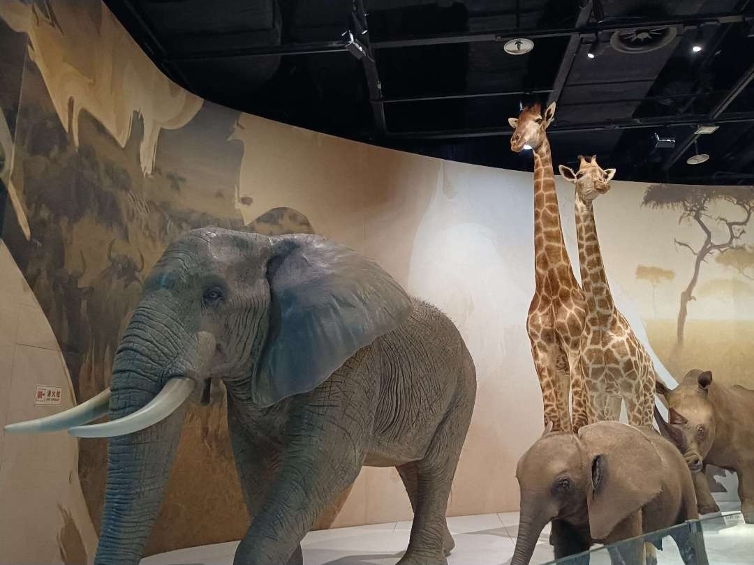 # 《西安长途代驾，守护每一程》第5张-2399代驾