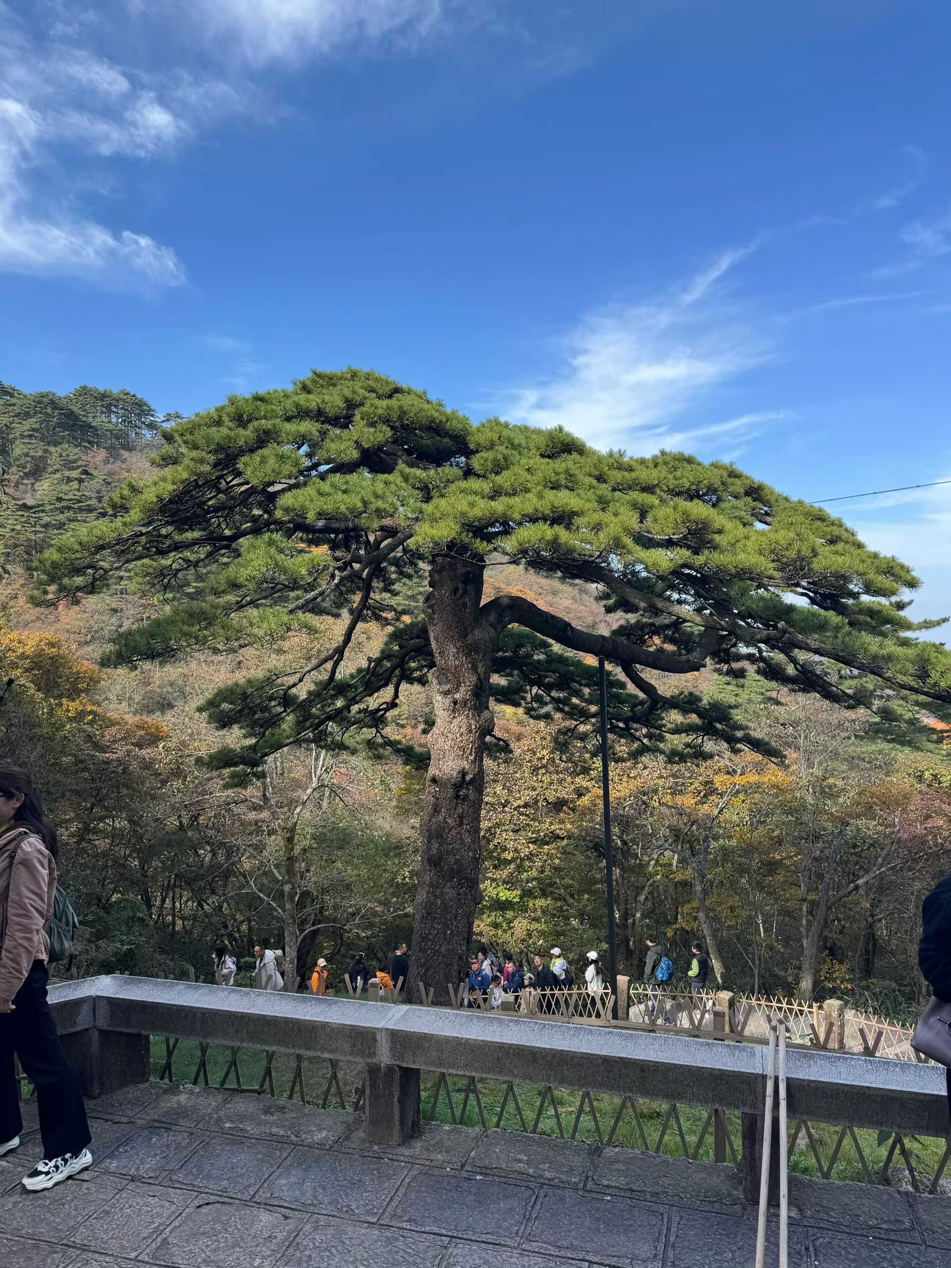 # 邂逅大理，一场风花雪月的梦———西安长途代驾第7张-2399代驾