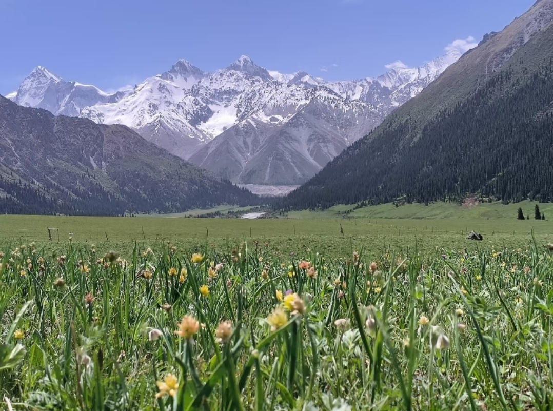 # 邂逅大理，一场风花雪月的梦———西安长途代驾第10张-2399代驾