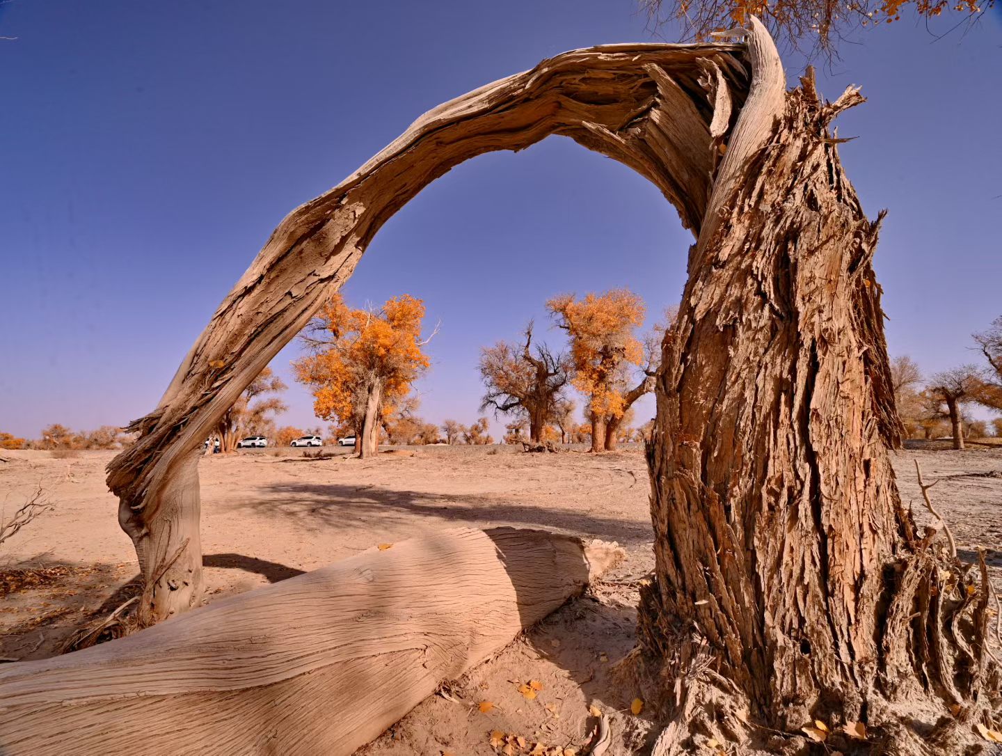 西安长途代驾，新疆行程第3张-2399代驾