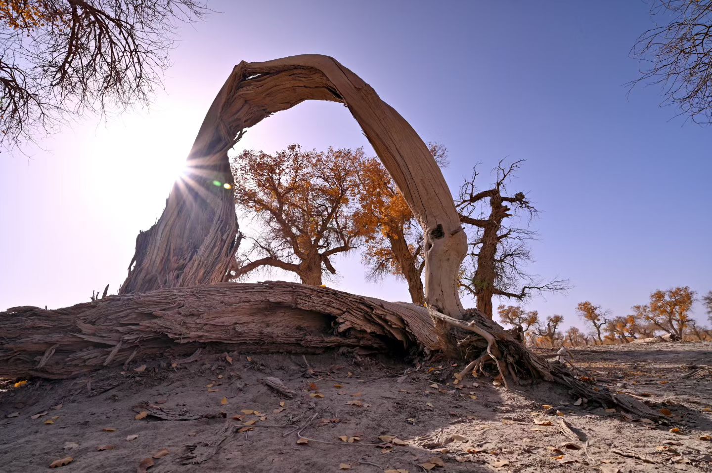 西安长途代驾，新疆行程第5张-2399代驾