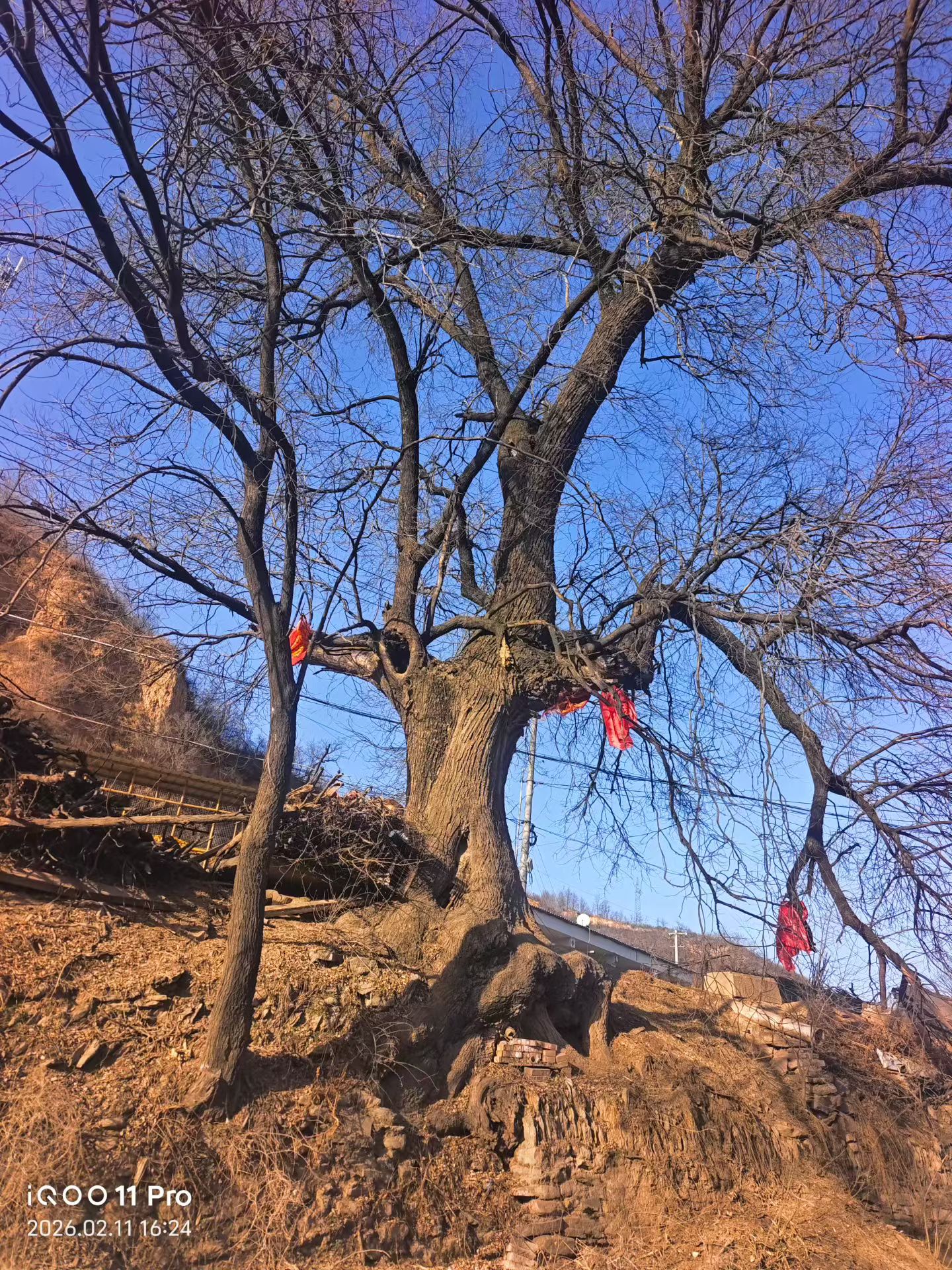 2399代驾；西安长途代驾电话第1张-2399代驾