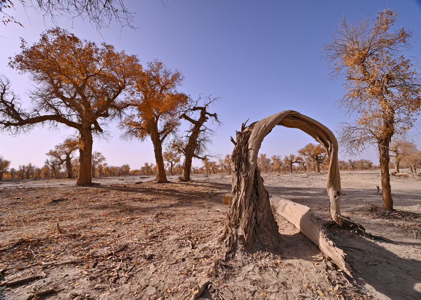 西安长途代驾以跨城/跨省代驾、异地取送车为主 ‘2399代驾’第3张-2399代驾