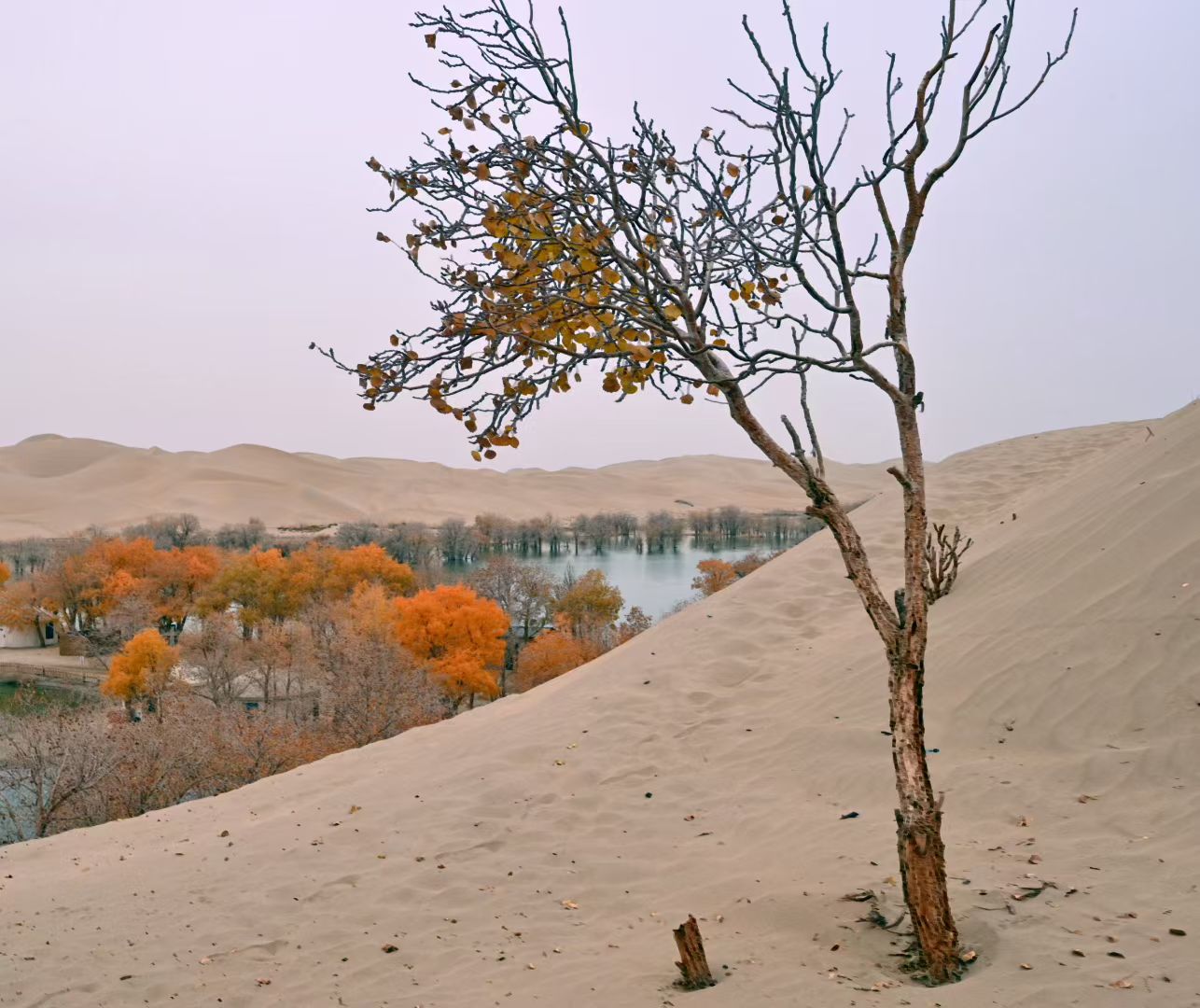 2399代驾；   长途代驾，专业护航，千里行程一路安心第1张-2399代驾