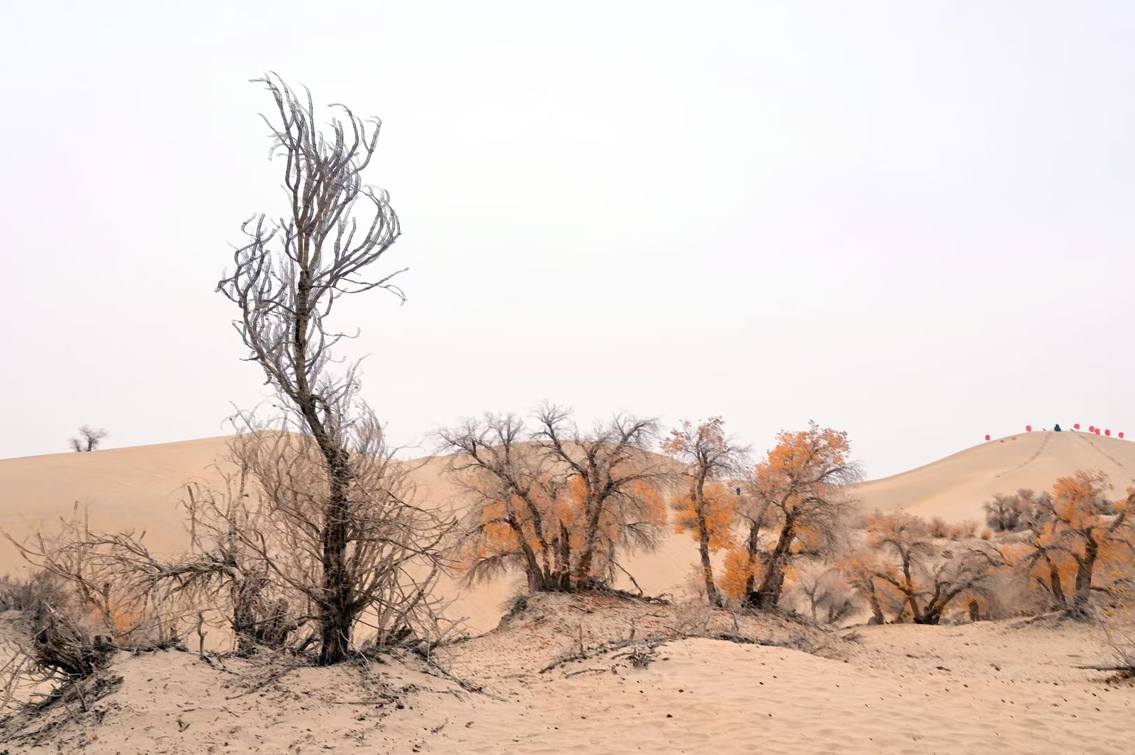 2399代驾；   长途代驾，专业护航，千里行程一路安心第2张-2399代驾